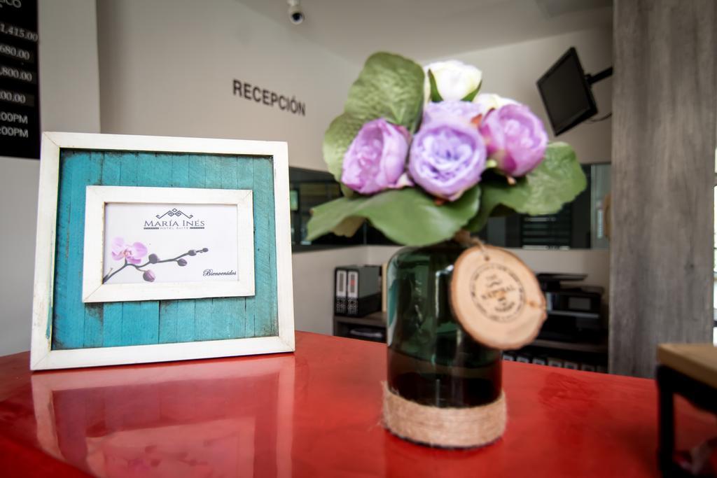 Maria Ines Hotel Suite San Agustin de las Juntas Zewnętrze zdjęcie